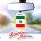 G128 Mexico Mexican Fringy Flag | Fringy Hanging Double Sided Flag with Suction Cup, Window and Car Rearview Mirror Decor